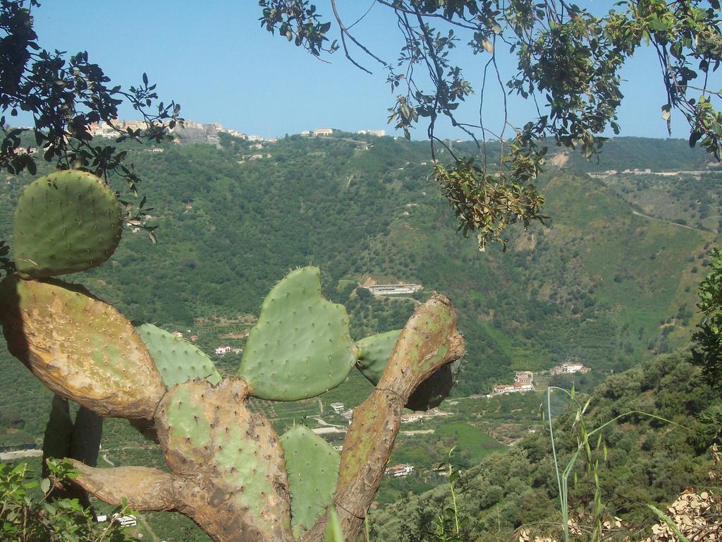 Al Fakhar Ficarra Bagian luar foto